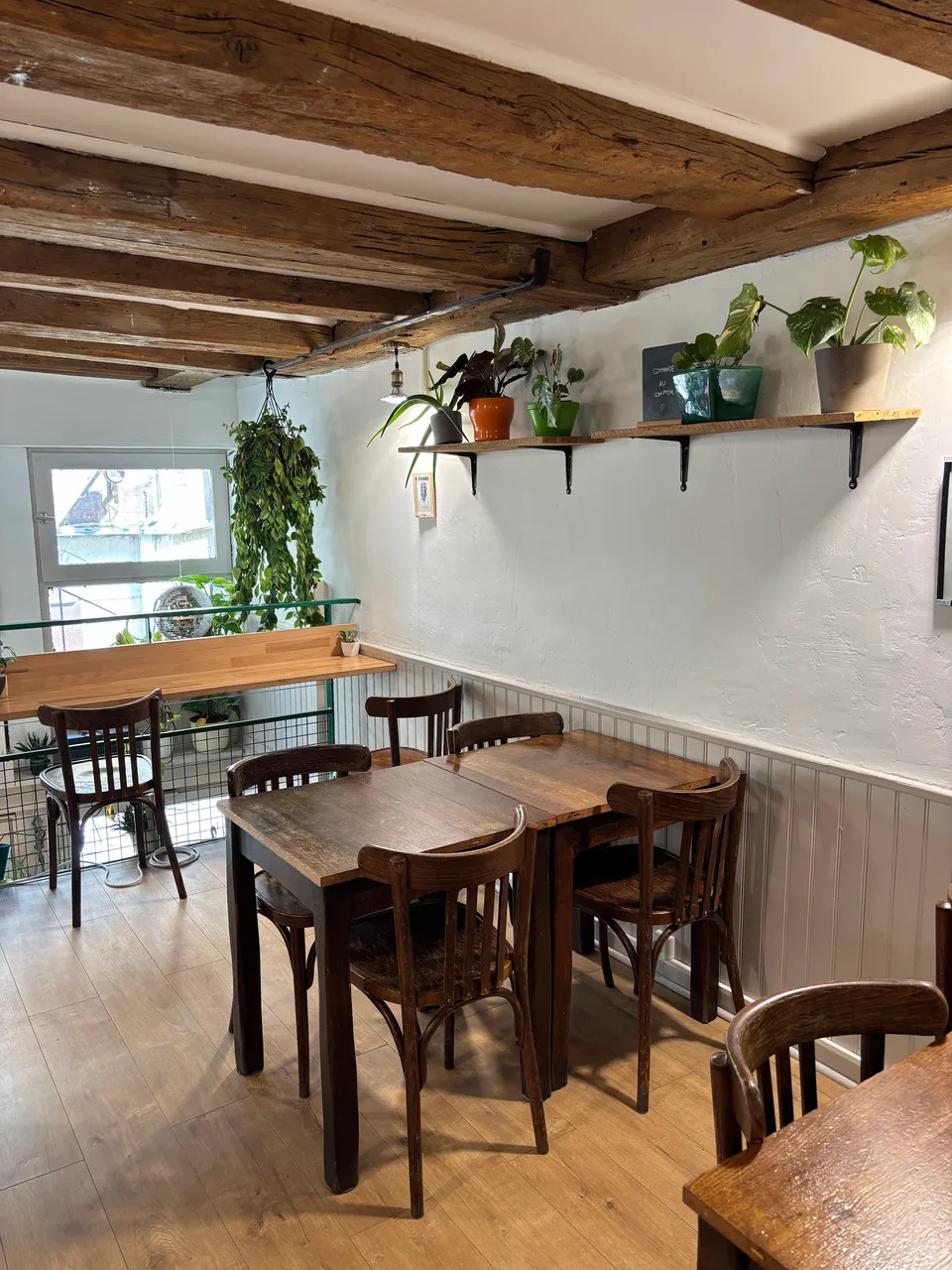café bouture