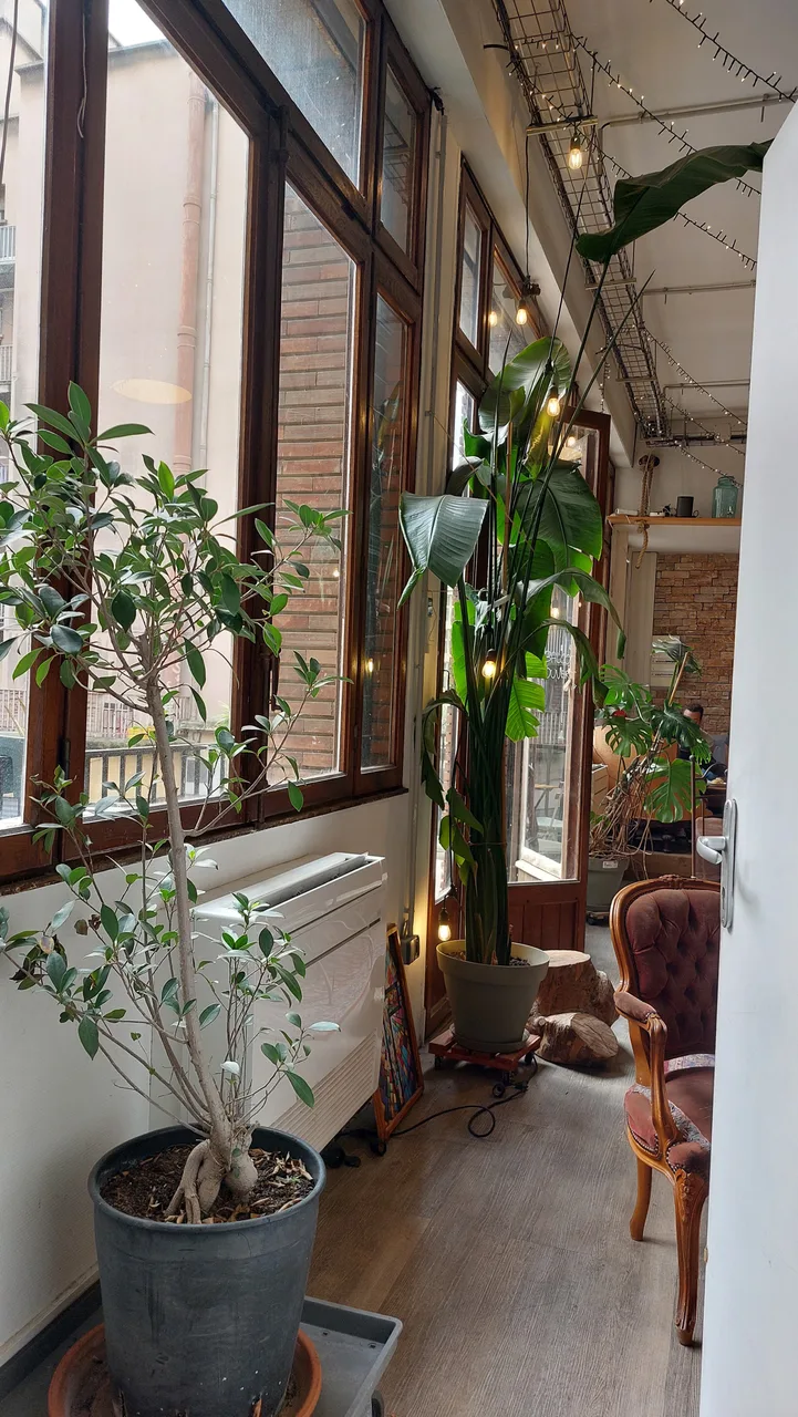 7VB Café