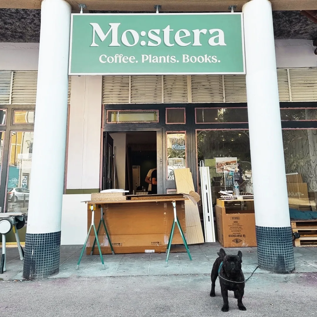 Mostera Concept Store